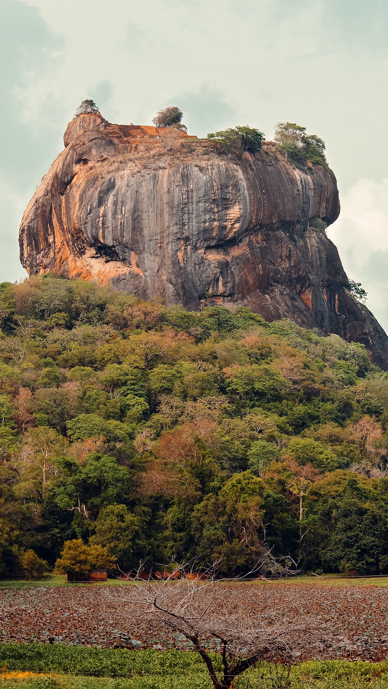 Sri Lanka Ramayana & Coastal Heritage